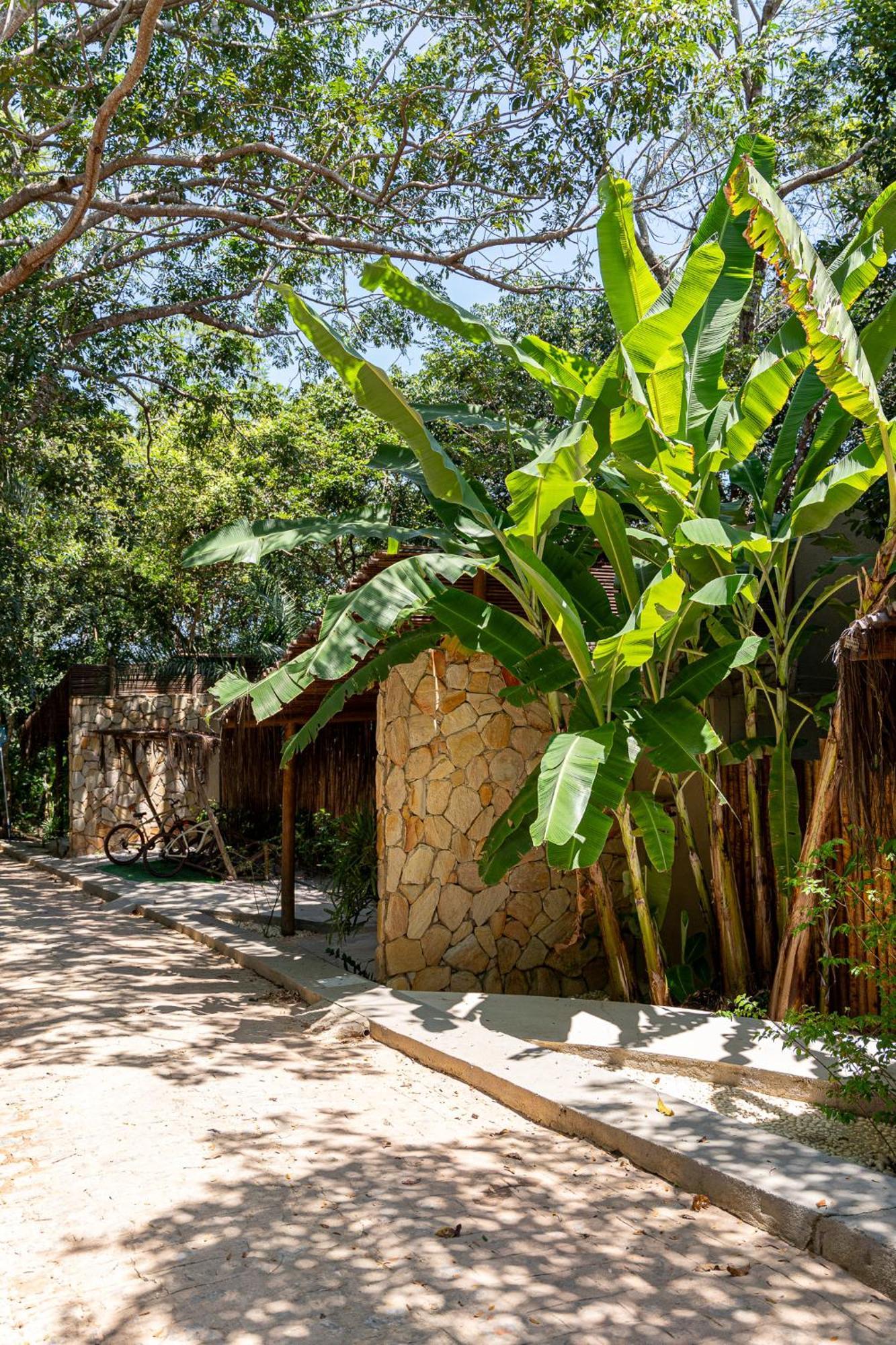 Sitio Villa Da Mata São Miguel dos Milagres Eksteriør bilde